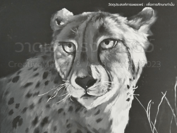 Cheetah Rrr