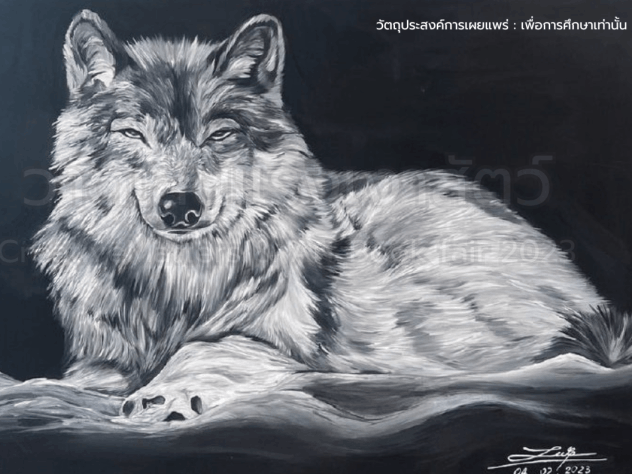 Gray wolf