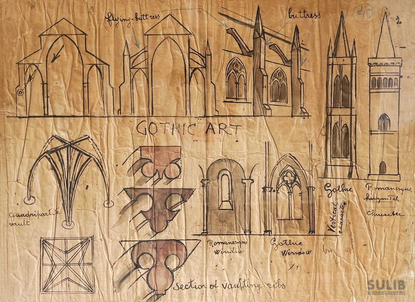 ภาพลายเส้นแสดงภาพรูปตัดของโบสถ์ในรูปแบบศิลปะโกธิค (Gothic)